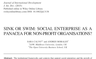 Sink Or Swim: Social Enterprise As A Panacea For Non-profit Organisations; Sara Calvo